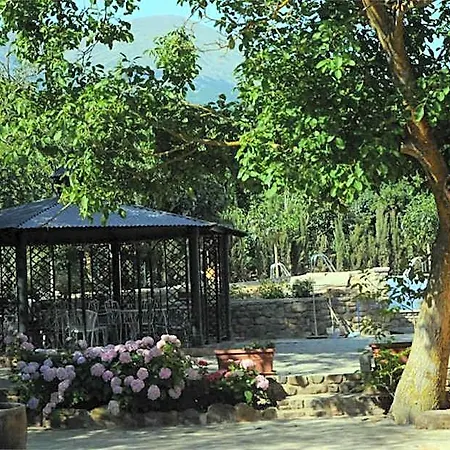 Hotel Gomar 2*